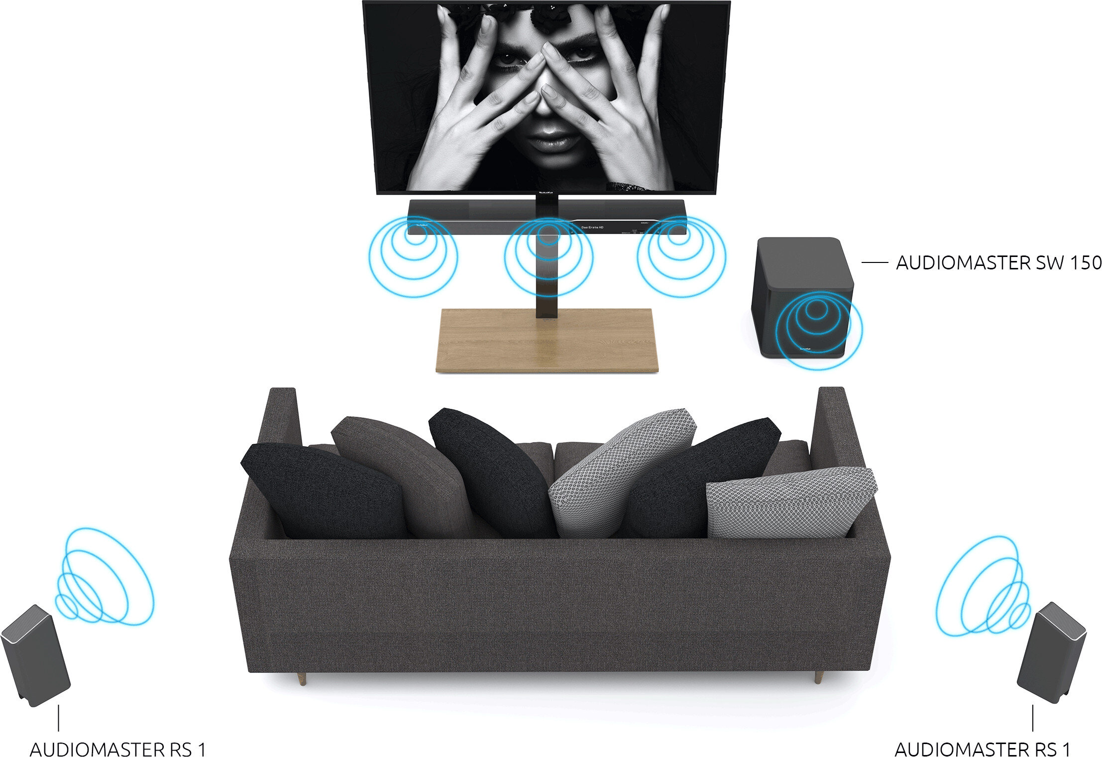 Subwoofer TECHNISAT Audiomaster SW 150 Czarny połączenie łączność złącze