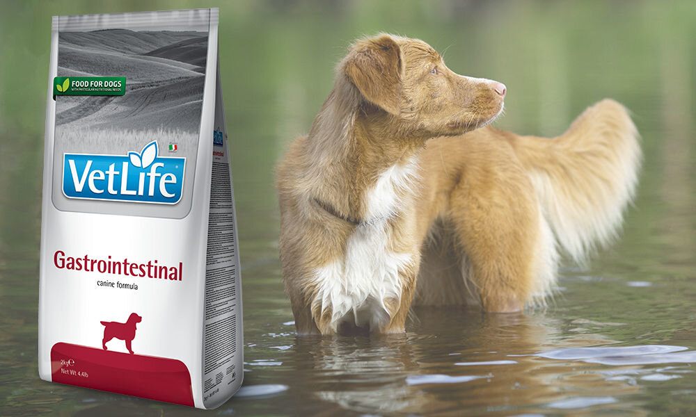 Karma dla psa FARMINA Vet Life Gastroasntestinal 2 kg dawkowanie analiza sklad