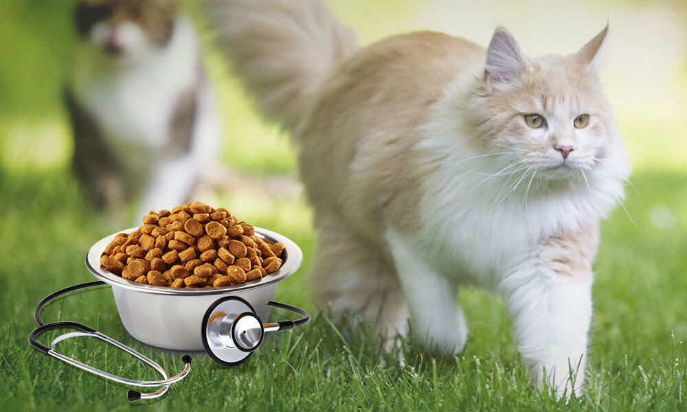 Karma dla kota FARMINA Vet Life Obesity 2 kg naturalne składniki wielkość krokietów
