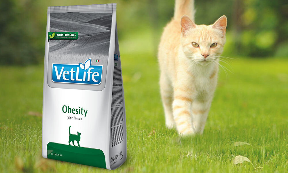 Karma dla kota FARMINA Vet Life Obesity 2 kg dawkowanie analiza sklad
