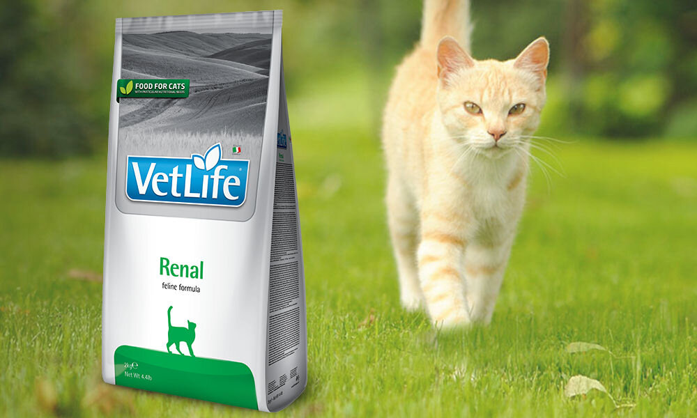 Karma dla kota FARMINA Vet Life Renal 2 kg dawkowanie analiza sklad