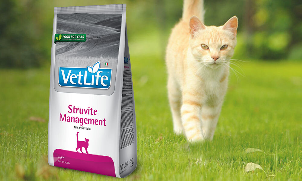 Karma dla kota FARMINA Vet Life Struvite Management 2 kg dawkowanie analiza sklad