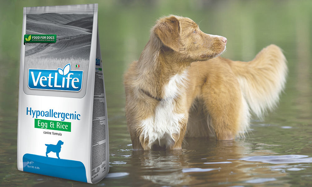 Karma dla psa FARMINA Vet Life Hypoallergenic Jaja i ryż 2 kg dawkowanie analiza sklad