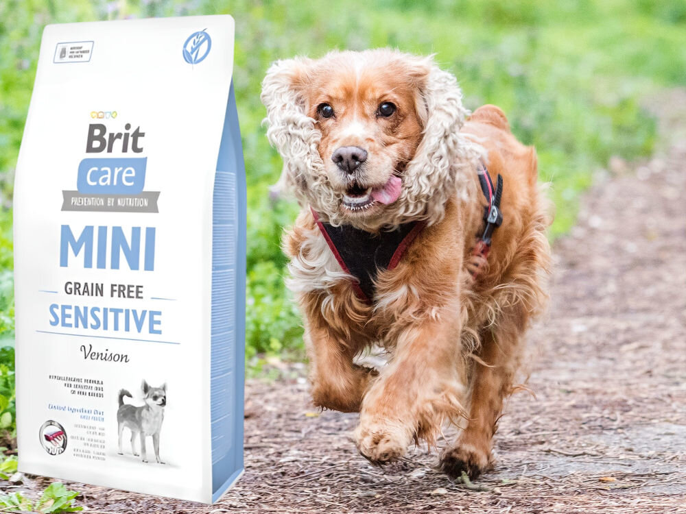 Karma dla psa BRIT Care Mini Sensitive Dziczyzna 2 kg witaminy zdrowie