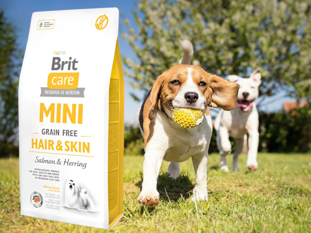 Karma dla psa BRIT Care Mini Hair & Skin Łosoś ze śledziem 2 kg sklad zywienie