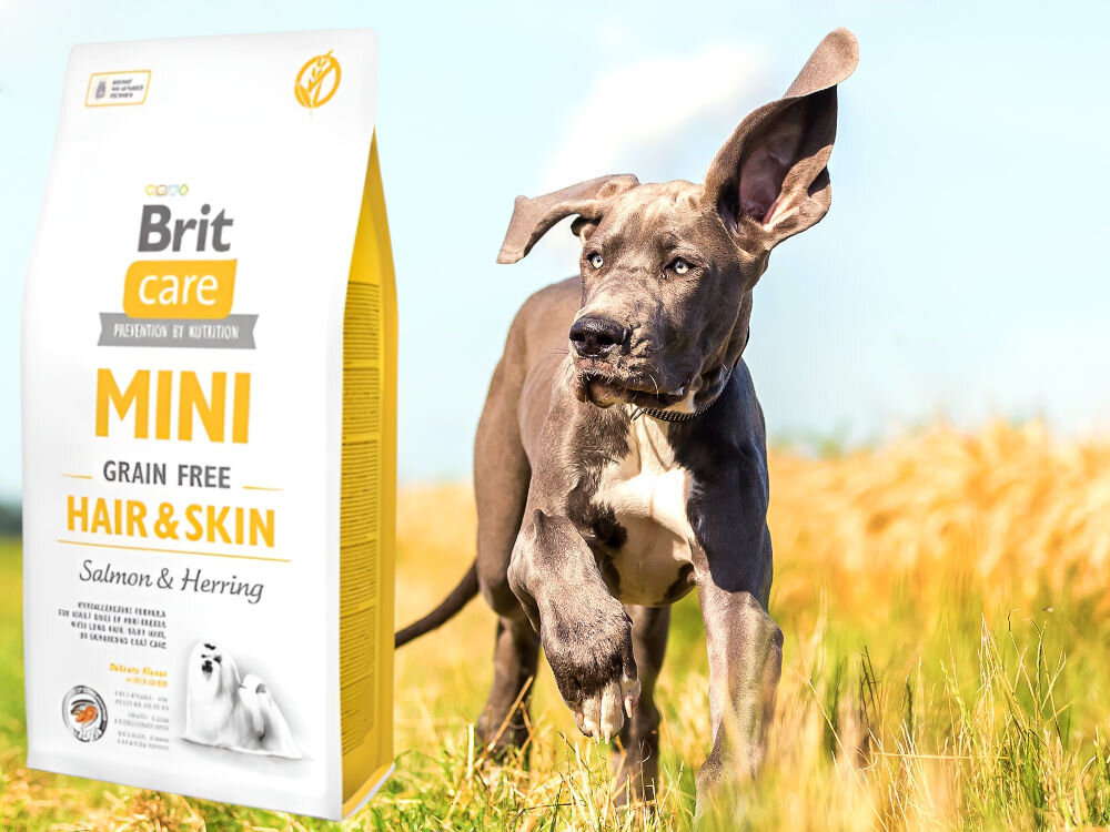 Karma dla psa BRIT Care Mini Hair & Skin Łosoś ze śledziem 2 kg dodatki analiza