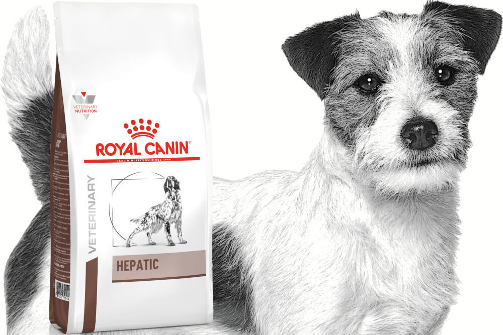 Karma dla psa ROYAL CANIN Hepatic 1,5 kg naturalne składniki