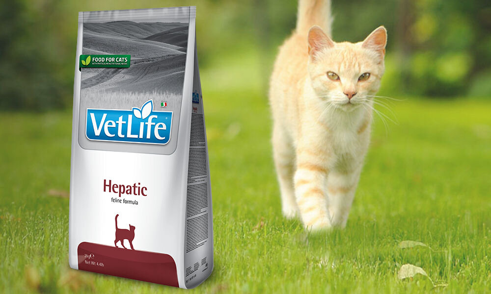 Karma dla kota FARMINA Vet Life Hepatic 2 kg dawkowanie analiza sklad