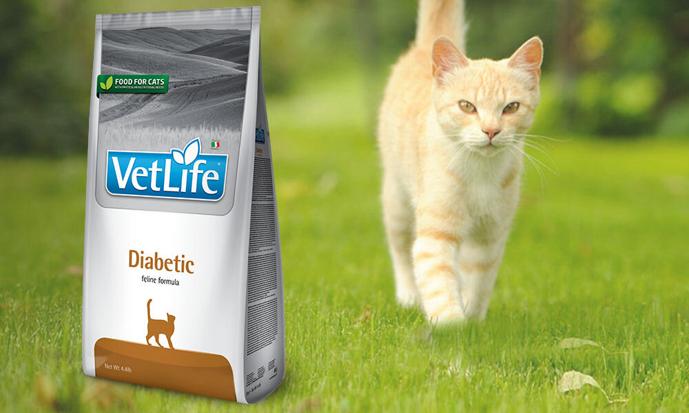 Karma dla kota FARMINA Vet Life Diabetic 2 kg dawkowanie analiza sklad