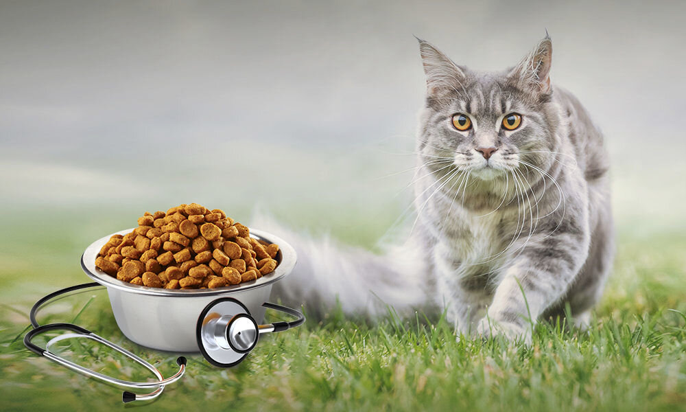 Karma dla kota FARMINA Vet Life Diabetic 2 kg witaminy pierwiastki aminokwasy