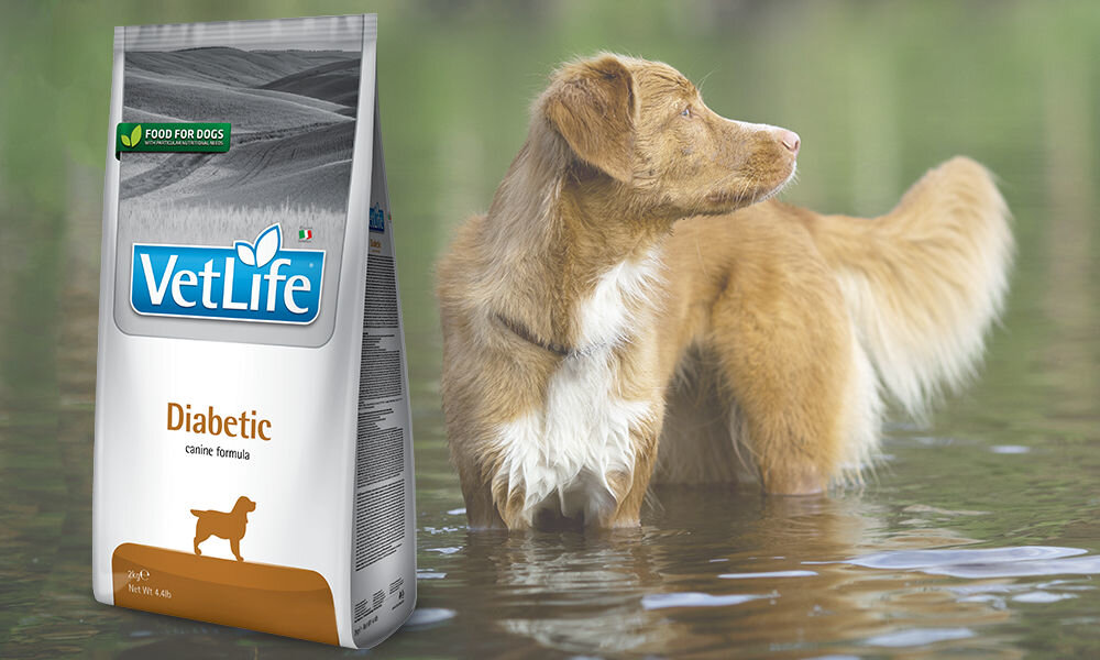 Karma dla psa FARMINA Vet Life Diabetic 2 kg dawkowanie analiza sklad
