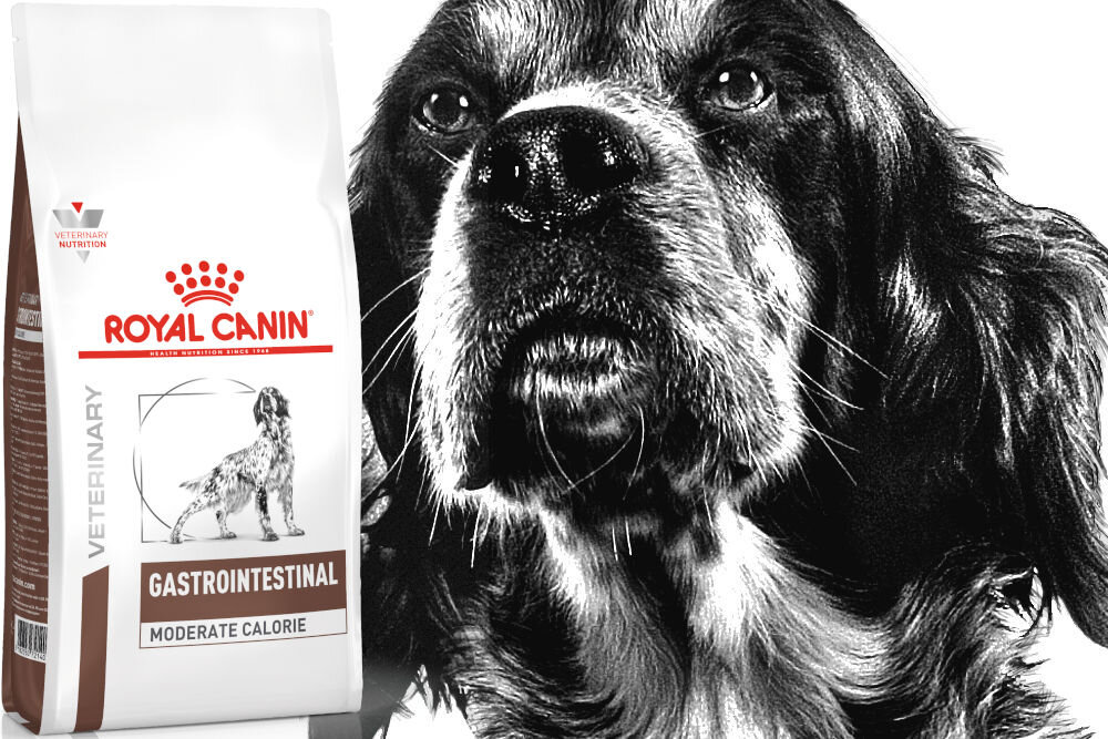 Karma dla psa ROYAL CANIN Gastrointestinal Moderate Calorie 2 kg naturalne składniki