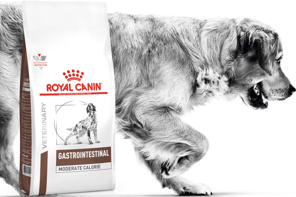 Karma dla psa ROYAL CANIN Gastrointestinal Moderate Calorie 2 kg dawkowanie analiza sklad