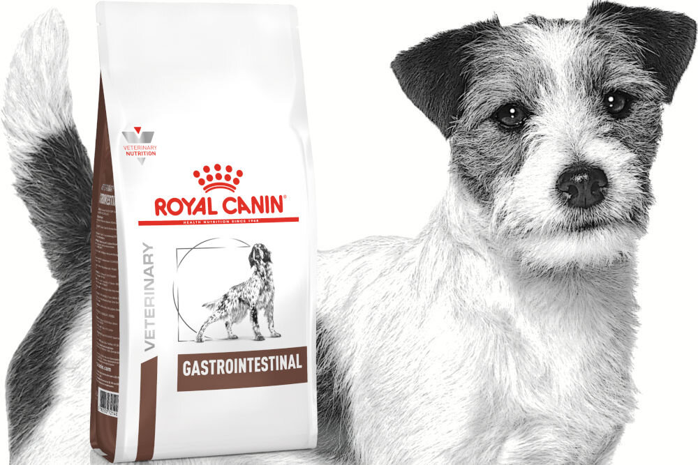 Karma dla psa ROYAL CANIN Gastrointestinal 2 kg naturalne składniki