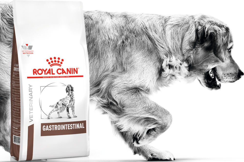 Karma dla psa ROYAL CANIN Gastrointestinal 2 kg dawkowanie analiza sklad