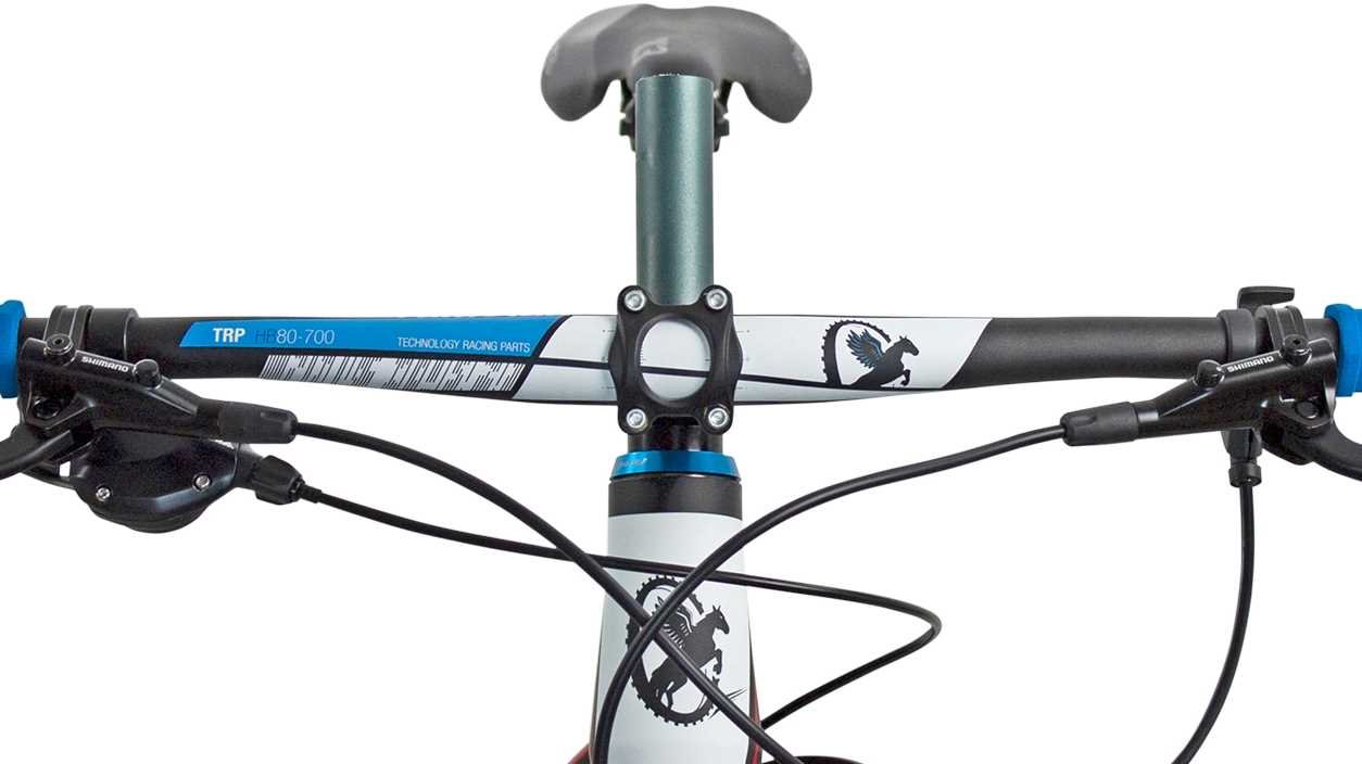 Rower MTB TORPADO Nearco A - Stery