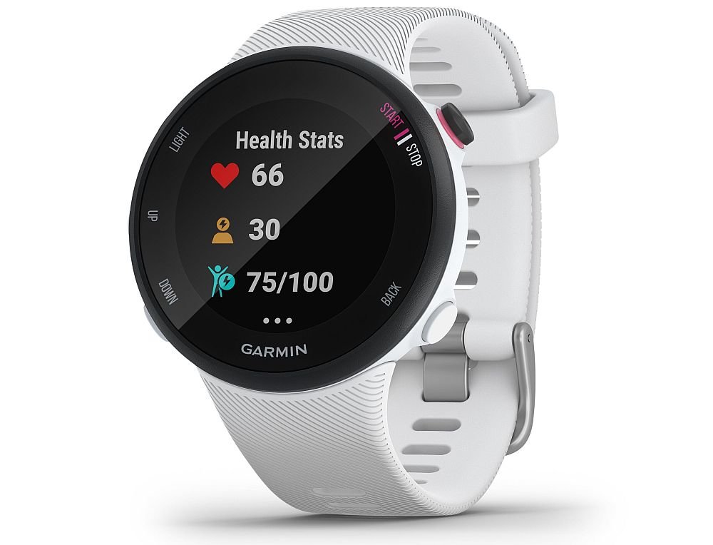 smartwatch garmin Forerunner 45 ćwiczenia