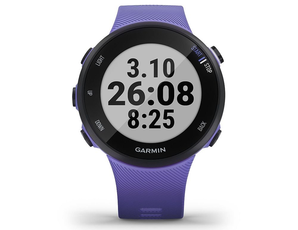 smartwatch garmin Forerunner 45