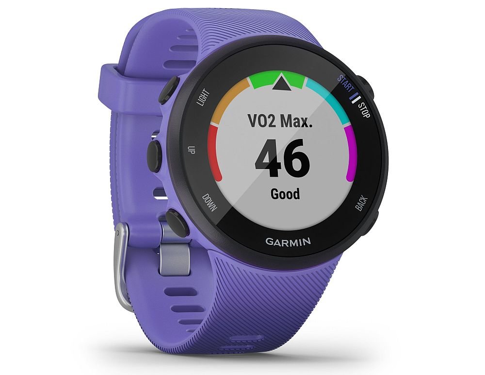 smartwatch garmin Forerunner 45 funkcje