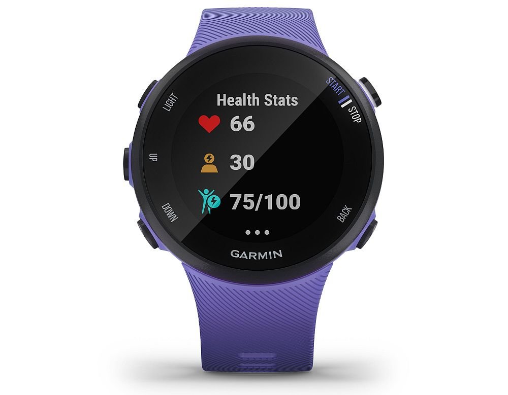 smartwatch garmin Forerunner 45 ćwiczenia