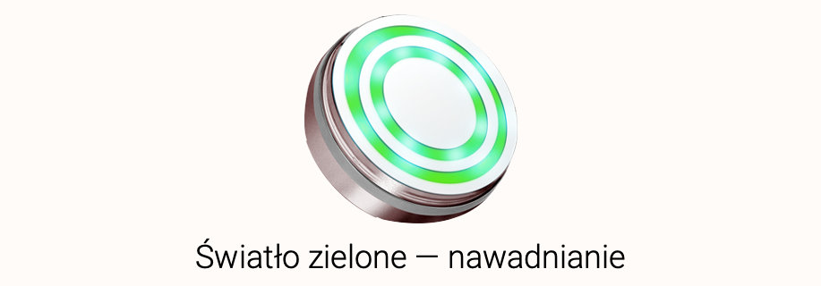 Szczoteczka soniczna BEAUTIFLY B-FRESH do twarzy TIMER 