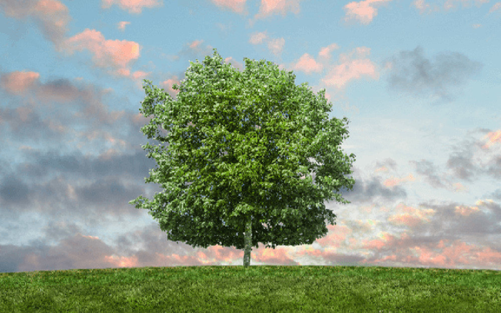 Lodówka BEKO MCNA406I43ZXR - Klasa energetyczna A+++