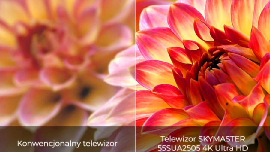 Telewizor SKYMASTER LED 55SUA2505 - Paleta kolorów