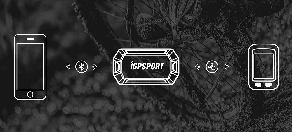 BEZPRZEWODOWY CZUJNIK KADENCJI IGPSPORT C61 ANT+ łączność