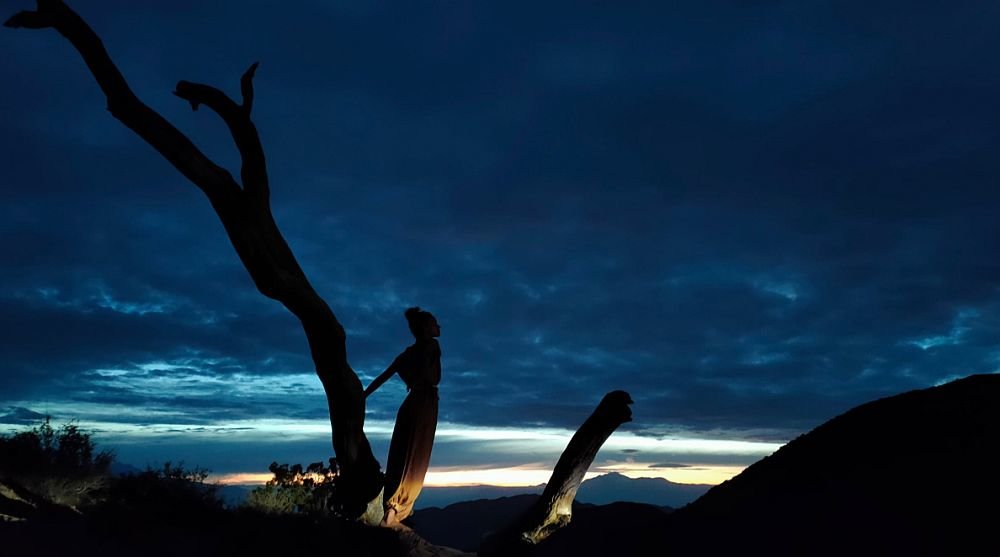 Smartfon OPPO RENO 10x zoom przesłona