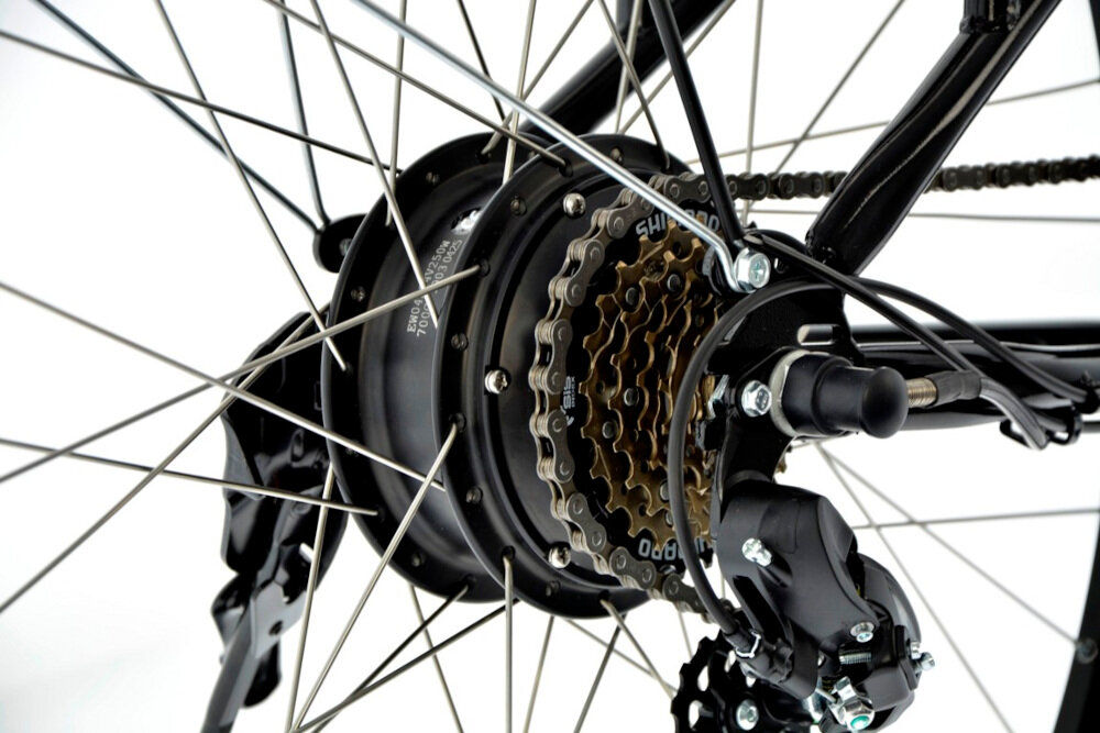 Rower elektryczny SKYMASTER Energy Eco 28 D17 28 cali damski Czarny silnik bezszczotkowy LIPENG moc 250W w tylnym kole pojazdu pracuje cicho maksymalny zasięg do 30 km