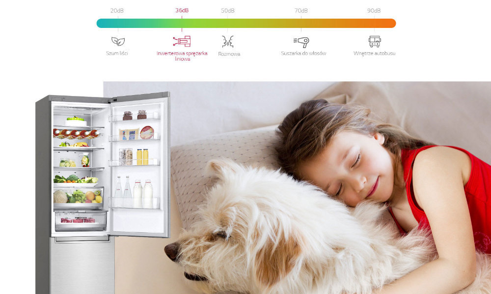 Lodówka LG GBB72PZEFN - Optymalne działanie i niski poziom hałasu