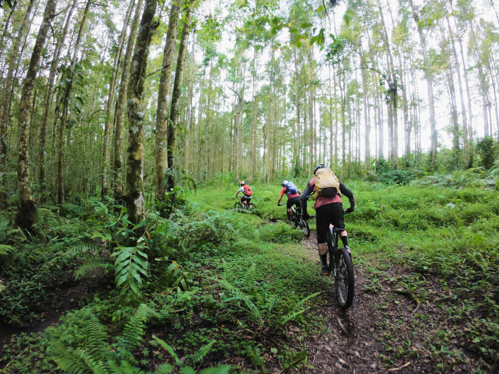 Kamera sportowa GOPRO HERO8 Black montaz zaczepy