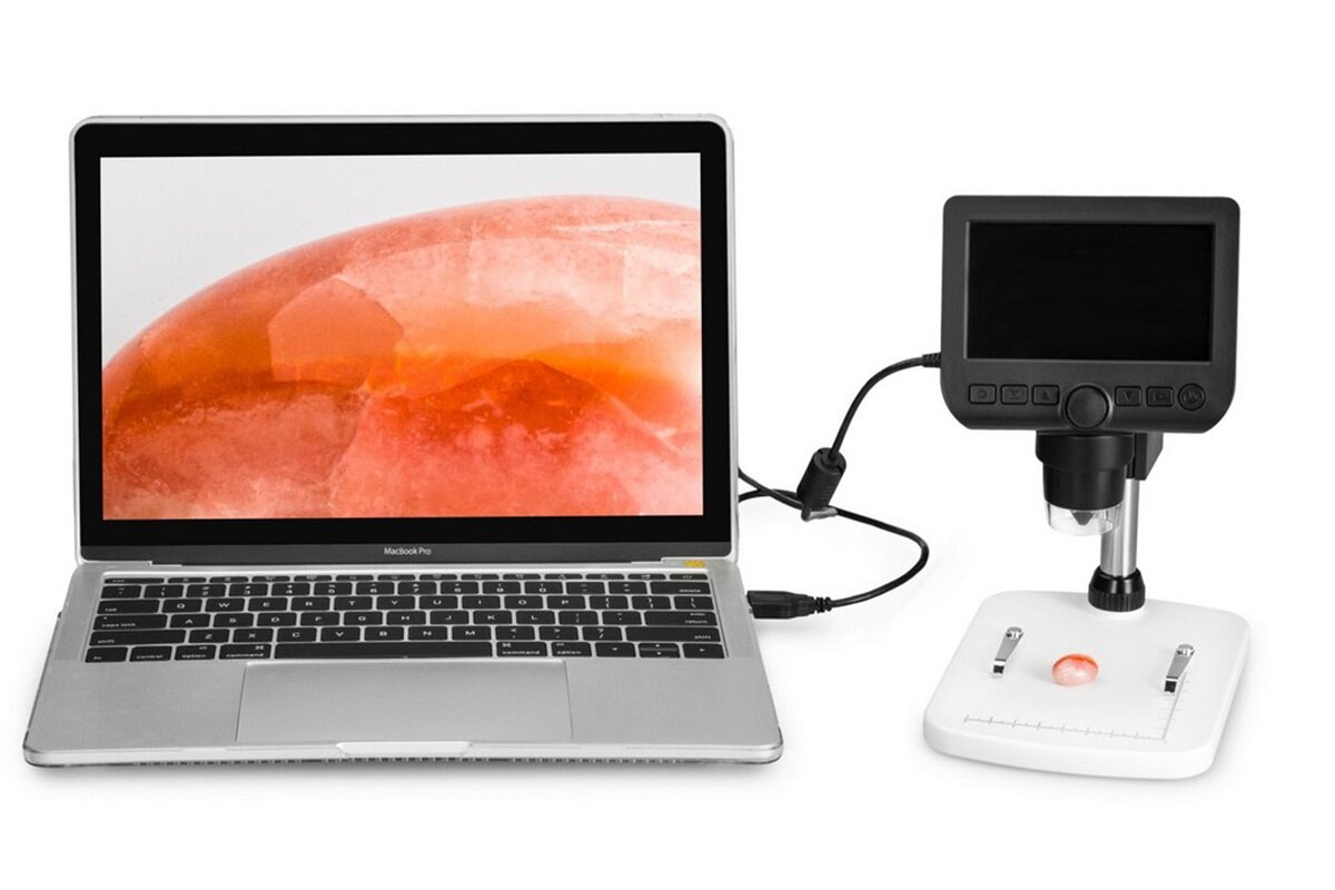 Mikroskop Levenhuk DTX 350 LCD do obserwacji monet, owadów i próbek nieprzezroczystych