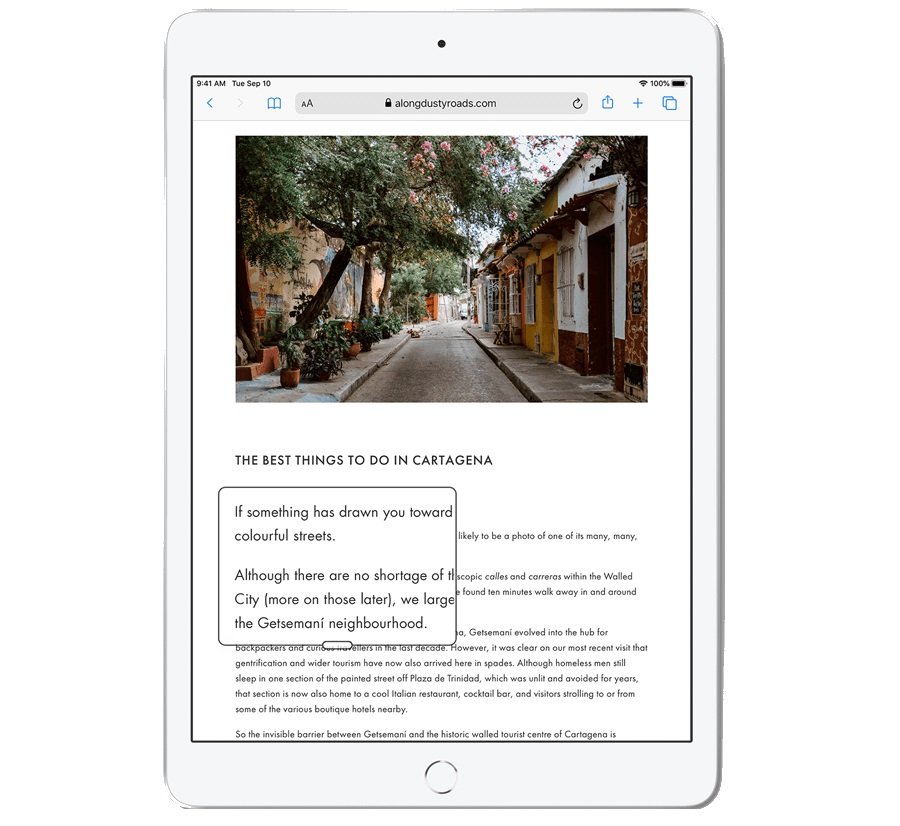 Tablet APPLE iPad 10.2 - Lupa