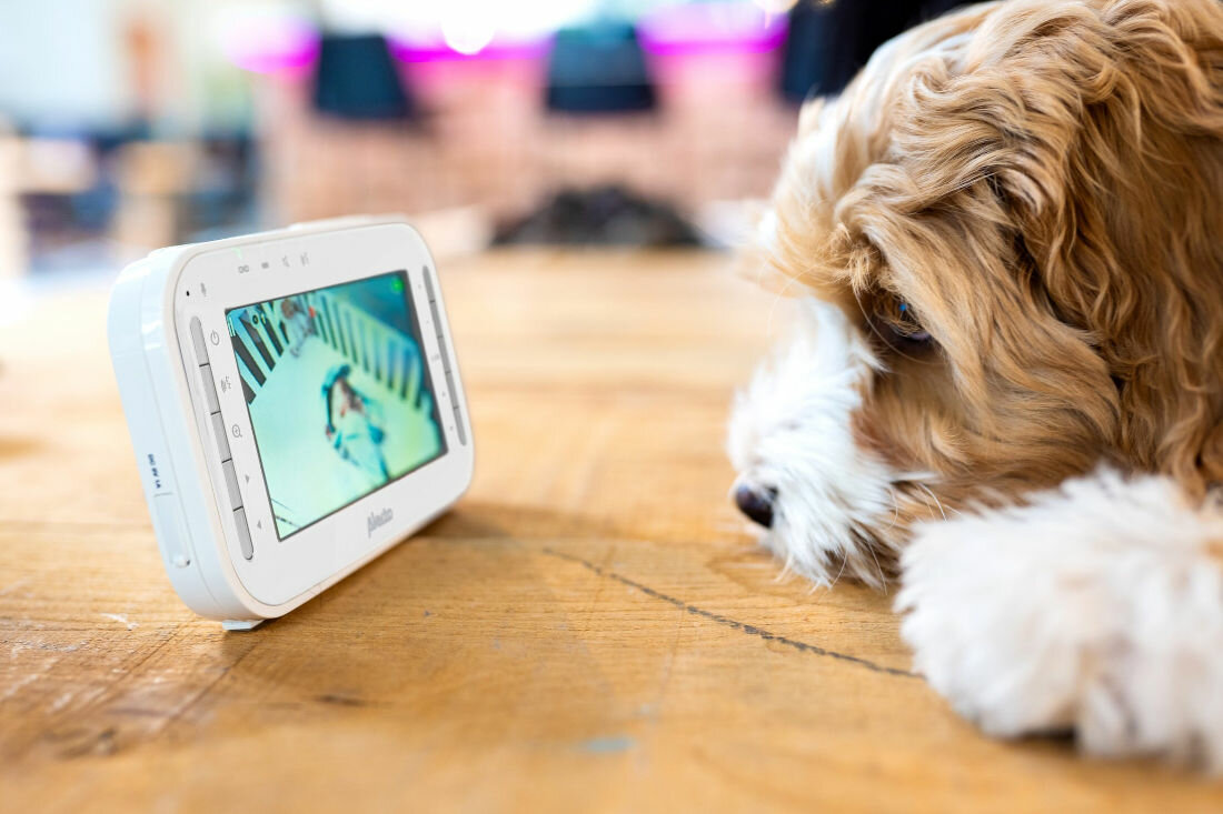 Niania elektroniczna ALECTO DVM-200 wyswietlacz wielkosc cale