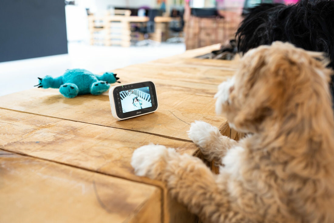 Niania elektroniczna ALECTO DVM-200 zasieg do 300 metrow