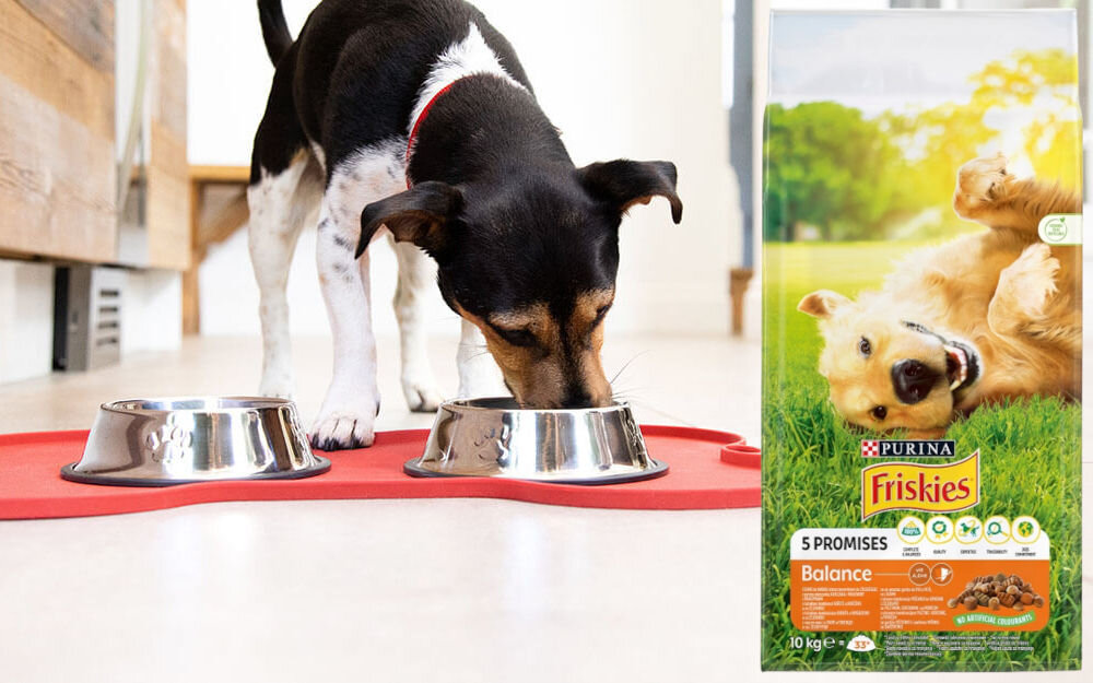 Karma dla psa PURINA Friskies Balance Adult Kurczak z warzywami 10 kg witaminy zdrowie