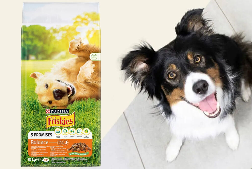 Karma dla psa PURINA Friskies Balance Adult Kurczak z warzywami 10 kg sklad analiza