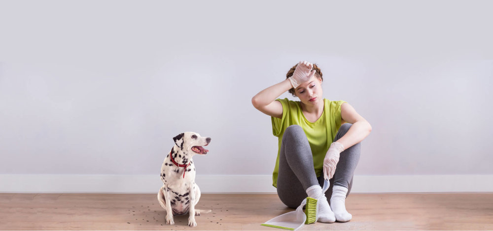 Rower Miejski INDIANA Moena S3B D1926 - Rama