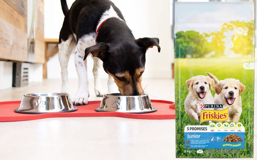 Karma dla psa PURINA Friskies 5 Promises Junior Kurczak z warzywami i z mlekiem 8 kg witaminy zdrowie