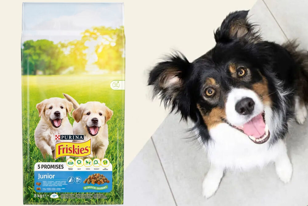Karma dla psa PURINA Friskies 5 Promises Junior Kurczak z warzywami i z mlekiem 8 kg sklad analiza