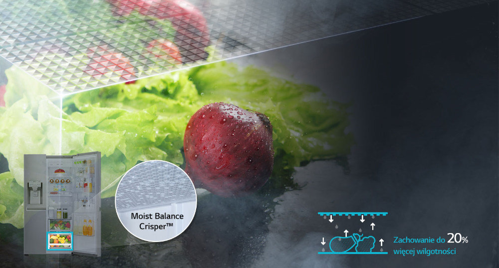 Lodówka LG GSL761PZU - Moist Balance Crisper™