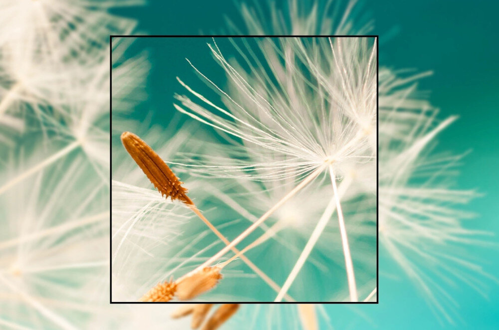 Projektor ACER PL6610T obraz rozdzielczość kontrast jasność