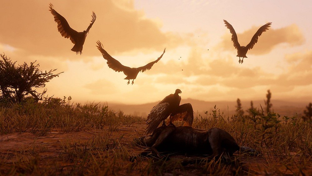 GRA RED DEAD REDEMPTION 2 przyroda zwierzęta świat