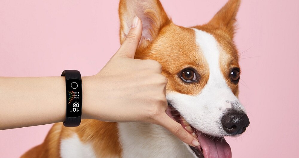 Smartband HONOR Band 5 funkcje dzwonienie zdjęcia procesor