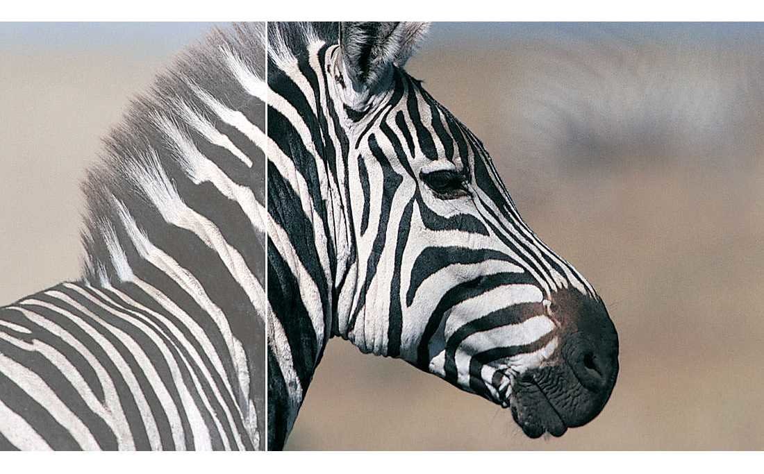 Monitor PHILIPS 327E8QJAB  - SmartContrast   