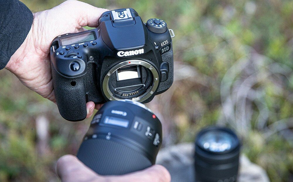 Aparat CANON EOS 90D zdjęcia matryca autofocus stabilizacja procesor seria ekran wizjer