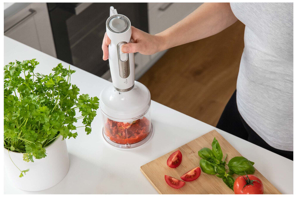 Blender kielichowy NUTRIBULLET NB606DG