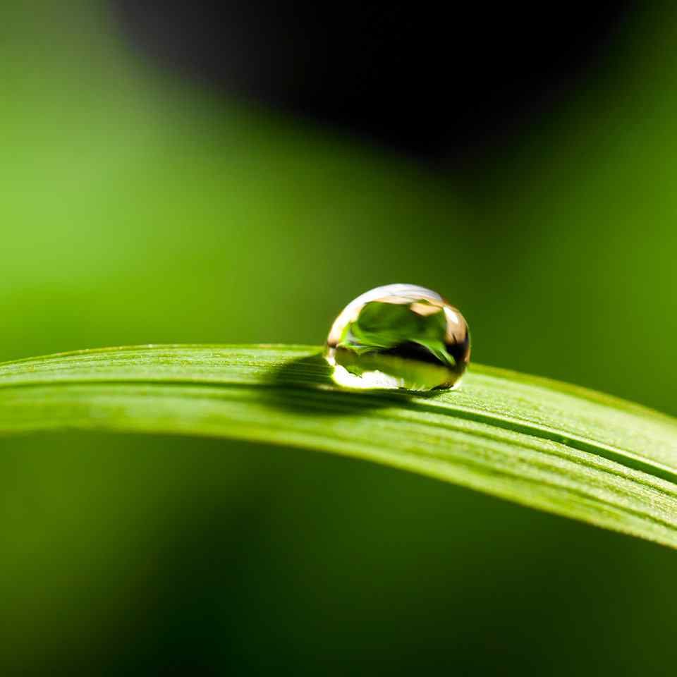 Naturalnie rozmyte tlo