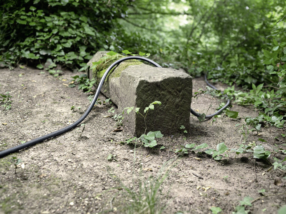 Wąż ogrodowy KARCHER PrimoFlex Premium 1/2 50 m 2.645-325.0, giętkość, odporność, pękanie, ogród, w tle kamienny płotek, przechodzi przez niego wąż karcher